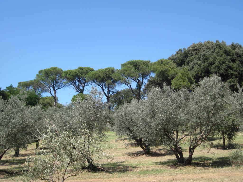 Quartolo Tenuta Olmatello المظهر الخارجي الصورة