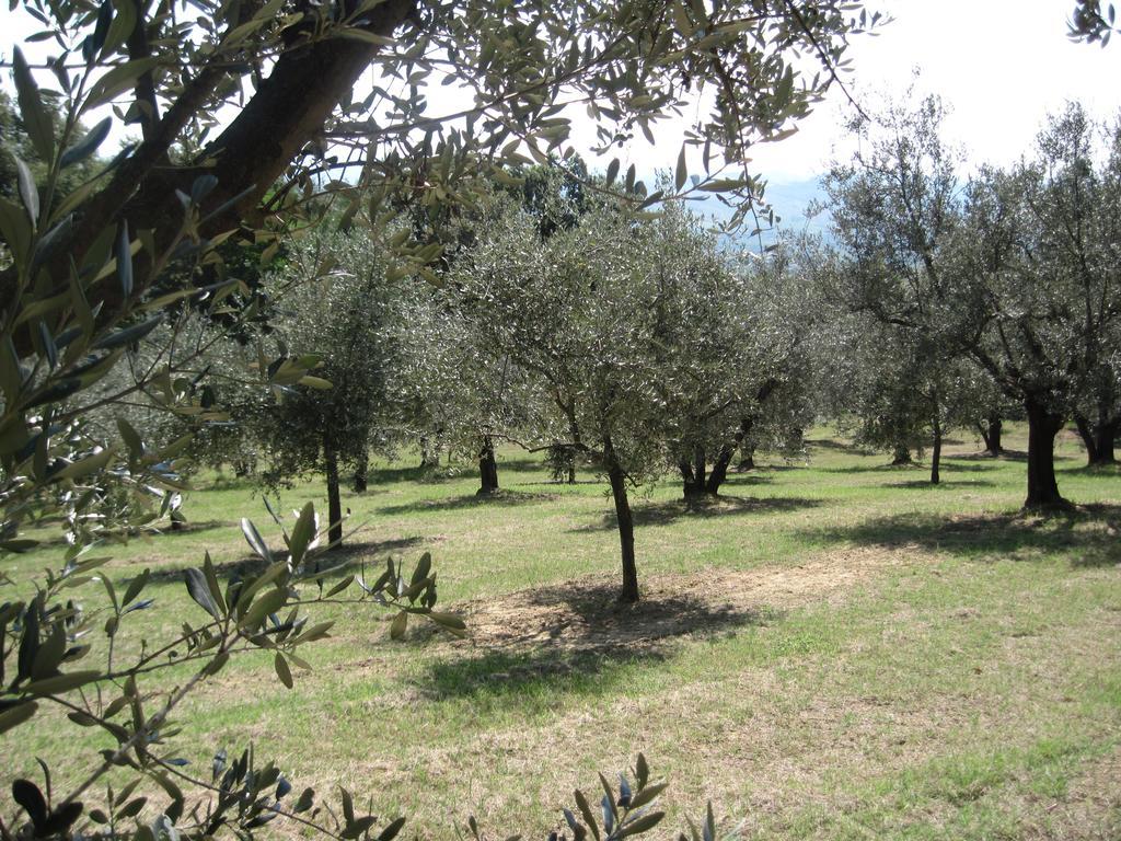 Quartolo Tenuta Olmatello المظهر الخارجي الصورة