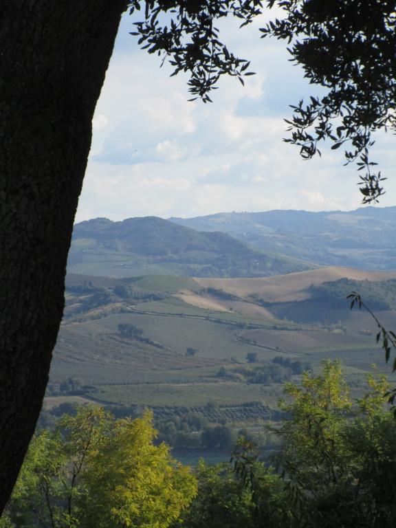 Quartolo Tenuta Olmatello المظهر الخارجي الصورة