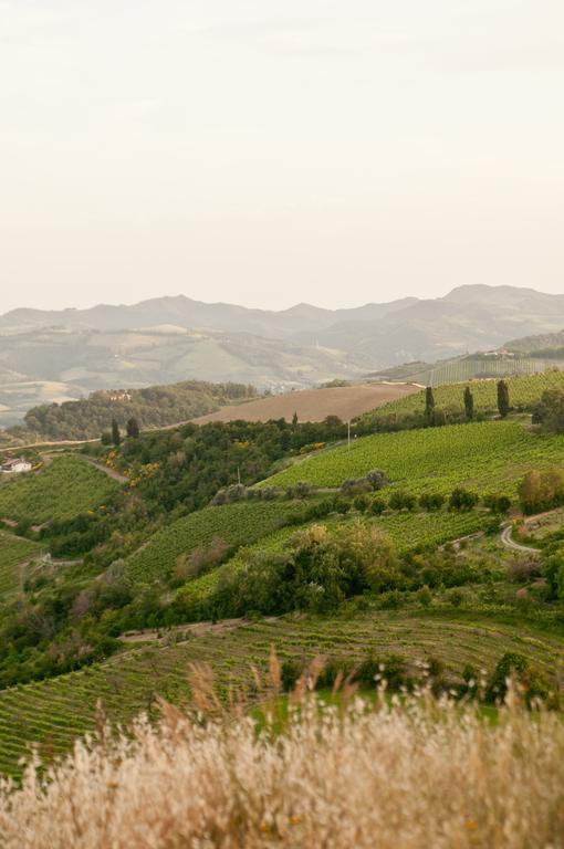 Quartolo Tenuta Olmatello المظهر الخارجي الصورة